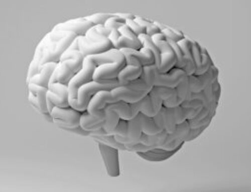 🦷 Why Regular Dental Cleanings Matter: A Guide from Canyon View Dentistry